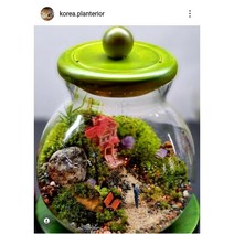 테라리움 이끼아띠(초원의집15cm☓18cm)-완제품 픽업상품 숨쉬는두껑(usb충전조명장착 받침포함) 스토리가있는초원의집 주문제작 클래스문의