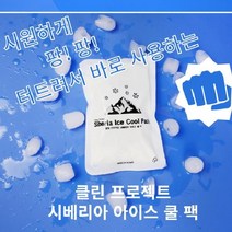 아이스 쿨팩 냉찜질 휴대용 아이스 펀치 10개 SET 냉찜질팩, 시베리아 아이스 쿨팩 10개, 화이트
