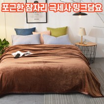 상상공간 올겨울 따뜻해지는 도톰한 극세사 밍크 담요 무릎담요 캠핑 블랑킷 사계절 학생 담요이불 캠핑용