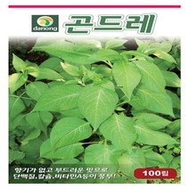 다-곤드레(고려엉겅퀴) 1000립