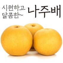 산지직송 프리미엄 꿀 나주배 신고배 가정용 선물용 과일 햇 배 설 추석 명절 선물 세트 대 중 소 한박스 7.5kg 15kg, 4. 나주배 15kg( 16~20개 내외) 1박스