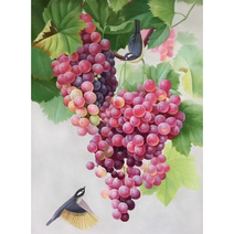 풍수 보석십자수 포도 블루베리 건강 재물 복 수확하는 과일 아트 다이어몬드페인팅 캔버스형 원형비즈 집콕취미 집들이 개업선물 구슬 큐빅 수공예 DIY키트 10종 액자미포함 티레오, 포도 블루베리 십자수선택05번, 80*100CM