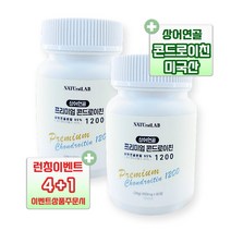 프리미엄 콘드로이친 1200 상어연골 콘트로이친 콘드로이틴 뼈 연골 무릎 관절, 00. 런칭이벤트 4박스 + 1박스 (5개월분)