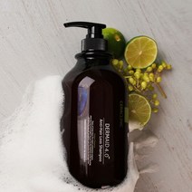 [NEW]세라클리닉 그린 대용량 탈모샴푸 1000ml, 선택:01.그린 탈모 샴푸 1000ml