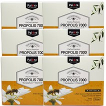 사은품+파이오라 프로폴리스 면역력 높이는 영양제 파이오라 7000mg 120캡슐, 프로폴리스 7000mg 120캡슐 6개