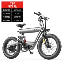 성인용 전기 자전거 레트로 로드 전기자전거 팻바이크, 48V, 10AH, 옵션4