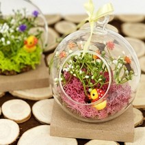 기타 바보사랑[빨간오리] 모스로 봄 테라리움 만들기-DIY 작은정원 꾸미기 재료