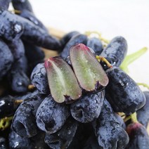프리미엄 블랙사파이어 포도, 1kg, 1개