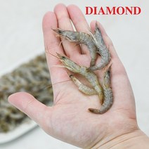 [민물생새우] 자연산 김장용 생새우 국내산 민물새우 1kg 2kg