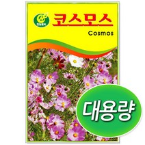 보람농자재 대용량 코스모스 100g/500g/1kg 꽃씨앗, 1kg
