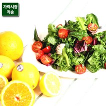 가락시장직송 샐러드야채믹스 500g, 단품