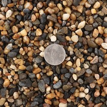 미미네스톤 천연 냇물사 어항샌드 2~4mm 1kg, 단품, 단품