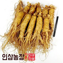더굿진생 금산인삼 수삼 원수삼 난발삼 못난이 파삼 350g, 1개, (세척안함)알뜰형 600g(7~9뿌리)