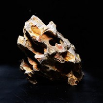 고니아쿠아 황호석 호피석 1kg [어항레이아웃] 수석, 1개