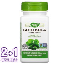 네이처스웨이 고투 콜라 허브 475ml 비건 100캡슐 3통, 1개, 기본