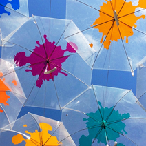 우산집미니우산 최저가 상품비교