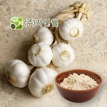 자연웰 48종류 천연 곡물가루 야채분말 천연조미료 율무가루 검은깨가루 팥가루 시금치분말 비트분말 카카오분말 석류분말 강황 도라지 히비스커스 새싹보리 ABC주스, 국산마늘가루100g