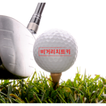 [비거리치트키] 2피스 고반발골프공/시니어 골퍼 여자 드라이버 비거리증가 20미터UP *10알 특가*, 10알 (특가)