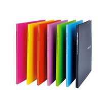 다솔 에코크리어화일10P 20p 30P 40p 클리어파일, 검정, 1개