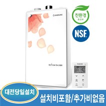 대성쎌틱 DNB 16S 26평이하 일반 가스보일러 (대전 및 인근지역 당일 설치가능), DNB-16S-26평이하+경보기