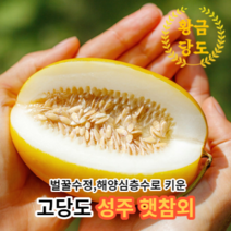 [고당도측정후출고] 마미템 고당도 성주 참외 가정용 정품 미니 중과 대과 혼합과 2kg 3kg 5kg, 정품 5kg 대과, 1개