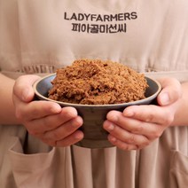 피아골미선씨 전통한식 프리미엄 고로쇠된장 3kg, 1통