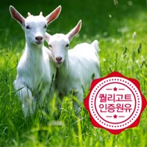 (주) 한솜 초유 산양유 단백질 2.5g 30스틱 1개, 2.5g x 30포