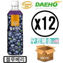 대호 블루베리 액상 카르페데이 1000ml 12개입