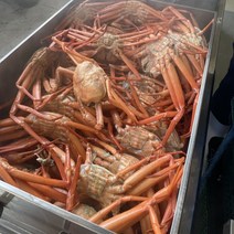 연지홍게 자숙 찜 포항 구룡포 제철 수율 보장, 육수용 2kg(수율 40~50%/6~8미), 1개
