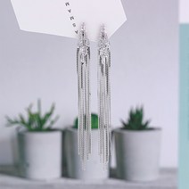 산토스 나사형 귀찌
