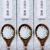 소금 잇몸 미백 잇몸 시린이 치석제거 솔트 치약 치은염 치주염 질환 예방 구취제거
