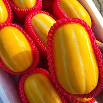 농랑부랑 성주참외 꿀참외 가정용 로얄과 5kg 10kg, 소과