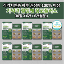 코오롱제약 두뇌 뇌 기억력 혈행 엔 징코 플러스 은행잎추출물 150mg 비타민 아연 7중 복합 기능성 식약처 인증 기억 혈행 기능 개선 뇌 세포 건강 기능 식품 영양제 30정, 6개
