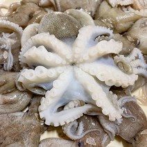 태안 당일조업 활 쭈꾸미 1kg 2kg 제철 알쭈꾸미