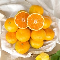 [제주열매] 고당도 감귤 서귀포 산지직송, 1box, 로얄소과-8kg