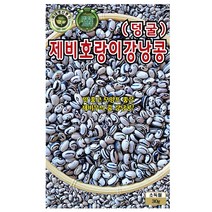 제비 호랑이 강낭콩씨앗 30g, 단품