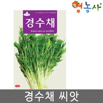 경수채씨앗 15g