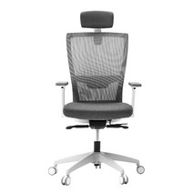 노블 풀옵션 블랙 메쉬의자 하이백NB-P10B 허리에좋은 사무용 게이밍 메쉬, GR(그린)