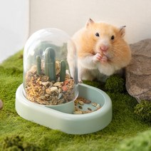햄스터 선인장 자동 급식기/두가지 색상, 민트크림