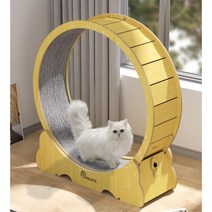 Runcats런캐츠 캣휠 롤러 다양한 사이즈 원목색 캣워크 런닝머신 스크래쳐 고양이 실내 운동훈련 헬스기구, L하양