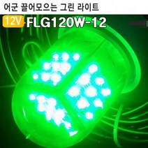 해루질랜턴 120와트 나이트워치 고기잡이 어군모으기 FLG120W-12V 전문가 어선 녹색집어등 선박용, 단품, 단품