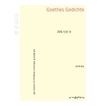 괴테 시선 3 큰글자책, 요한 볼프강 폰 괴테, 지식을만드는지식