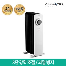 흥신 액센트리 전기라디에이터 ERT-A02WB (라지에이터/히터/난로), ERT-A02WB (7핀/1500W)