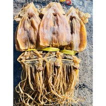 포항 구룡포 마른 건조 오징어 1.5키로(20미) 당일배송, 1개