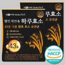 웰핏 웰핏 자연속 하루효소 43종 곡물 발효 효소 유산균, 90g, 2박스