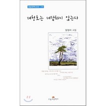 대청호는 대답하지 않는다, 오늘의문학사