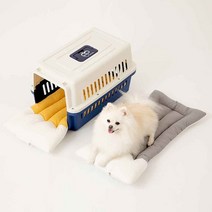 페스텝 켄넬방석 빼꼼이 강아지 마약방석 옐로우 고양이 애견 쿠션, M