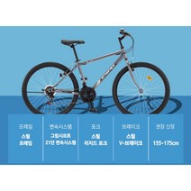 3월 삼천리자전거 MTB형 라빈 21단 26인치-2023
