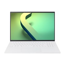 2022 LG전자 그램 16ZD90Q-GX56K (40.6cm 인텔12세대 앨더레이크 CPU NVMe 16GB), Free DOS, 스노우화이트, 512GB, 코어i5, 16GB