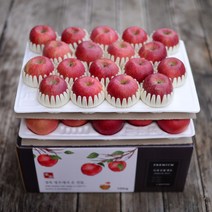 선물용 영주풍기사과 대용량 10kg 34~38과 중상크기, 단품